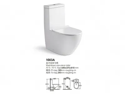 Washdown One Piece Toilet, Modern Ceramic 1003A Toilet for Bathroom