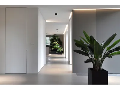 Flush Wall Aligned Doors