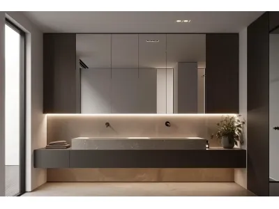 Tall Mirror Cabinet
