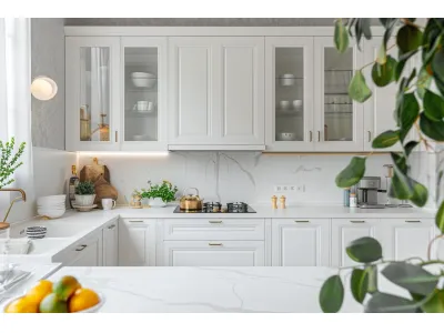 Glass Front Shaker Cabinets