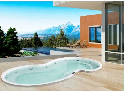 Outdoor Swim Spa WS-PC06CH